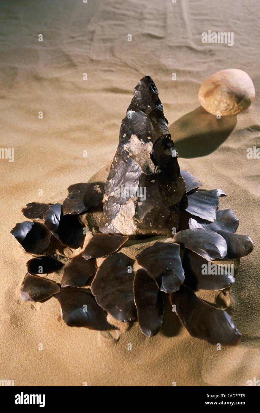 Acheulean stone tool and the hammer stone (upper right) used to create
