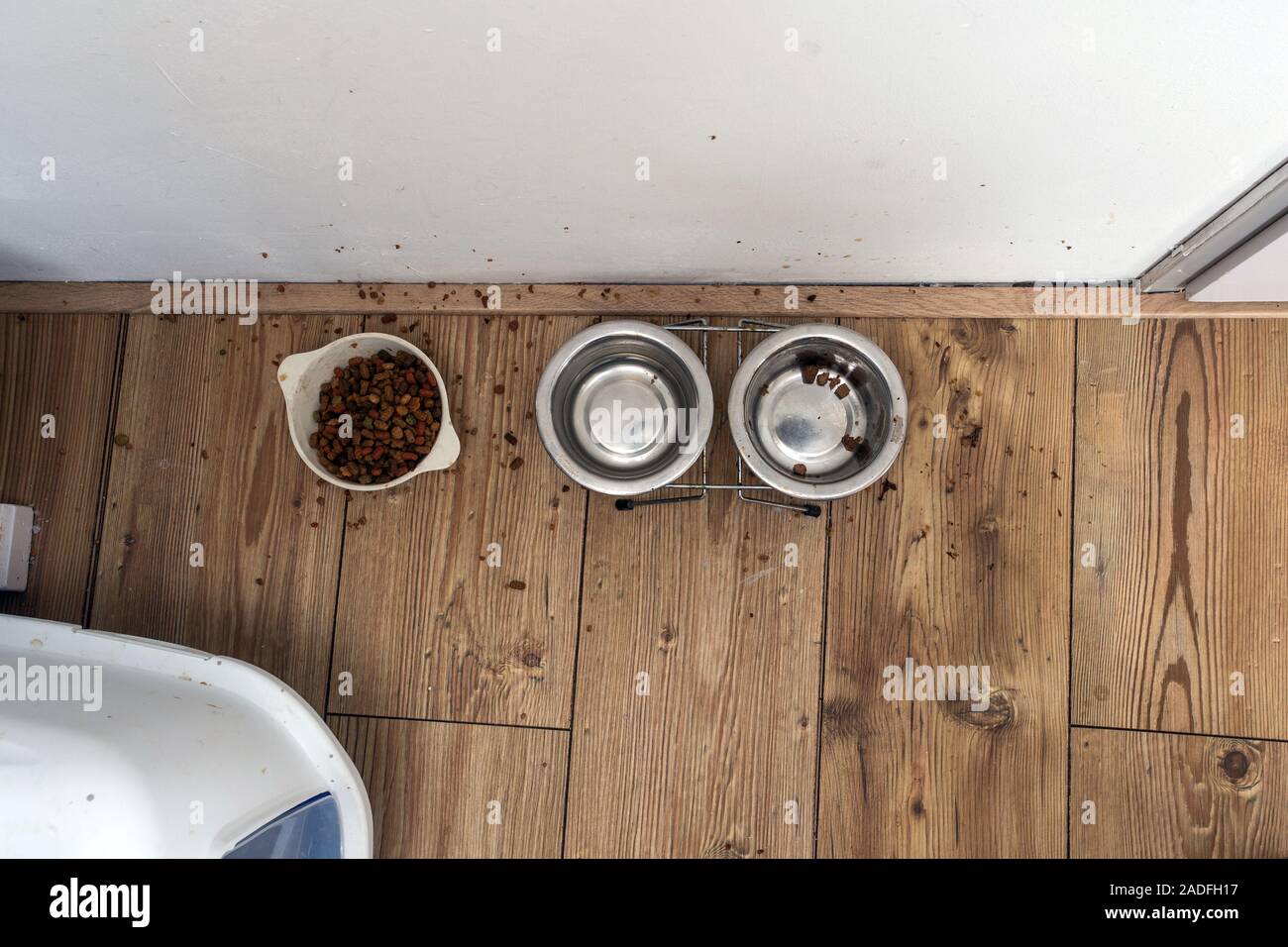 pet food in a food bowl for the cat with litter box in a house, dirty