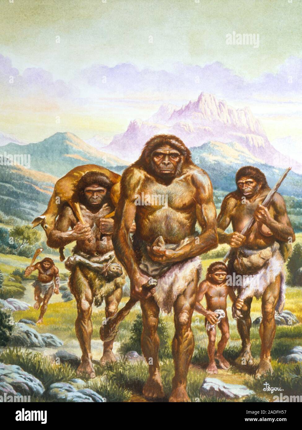 Первобытные л. Австралопитек неандерталец хомо сапиенс. Племя хомо сапиенс. Австралопитеки Зденека Буриана.