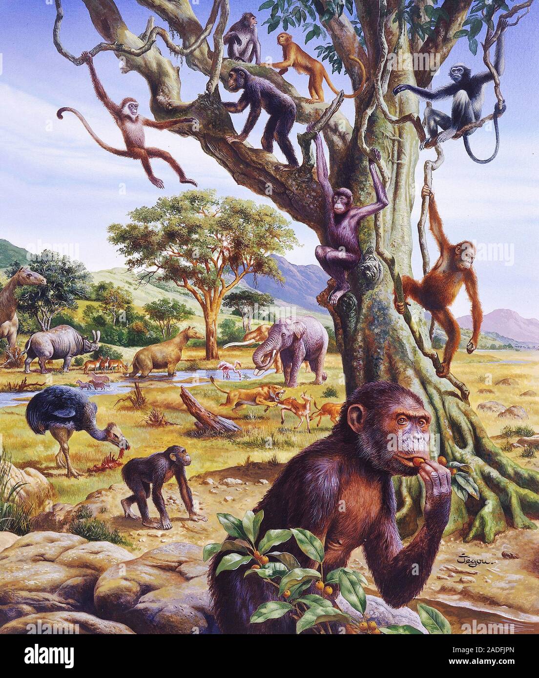 Prehistoric animals. Artwork of animals that lived in the Oligocene (34 to  23 million years ago) and Miocene (23 to  million years ago) epochs. Be  Stock Photo - Alamy
