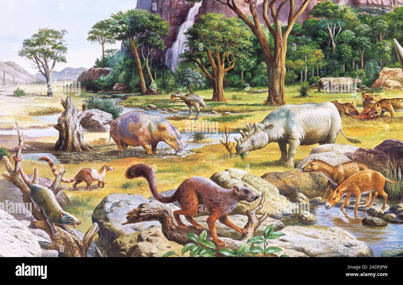 Крупнейших млекопитающих на земле. Кайнозойская Эра палеоген. Кайнозойская Эра палеогеновый период. Кайнозой Эра неоген. Кайнозой период палеоген.