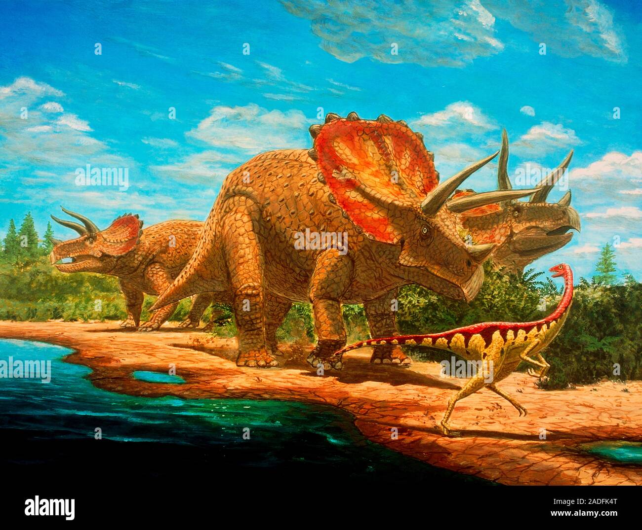 cretaceous-dinosaurs-artwork-of-two-types-of-dinosaur-that-lived