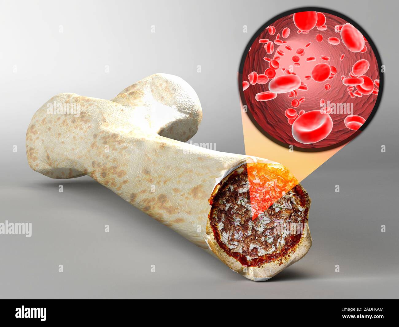 Dinosaur cloning. Image 1 of 3. Computer artwork of a dinosaur being cloned from the soft tissue