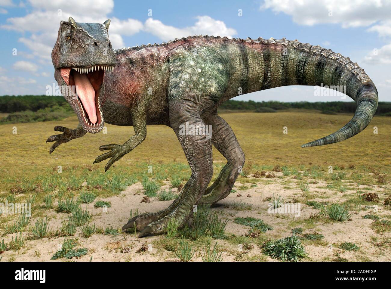 Слово динозавр означает страшный ящер. Аллозавр динозавр. Сибирский Аллозавр. Юрский период Аллозавр. Аллозавр - хищный динозавр.