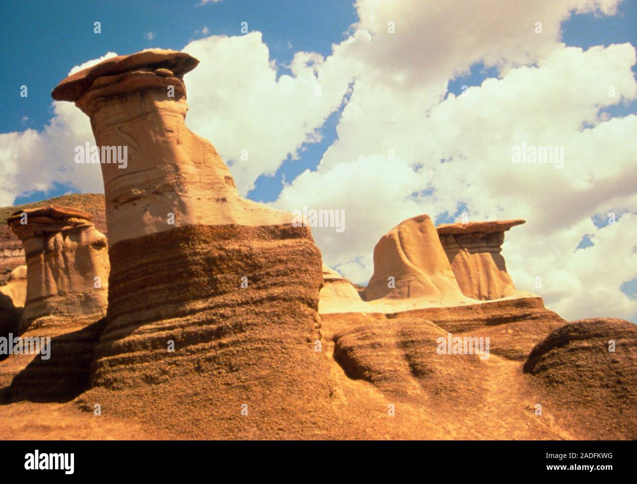 Earth pillars. Pillars of soft, sedimentary rock topped by flat caps of harder rock, in a water