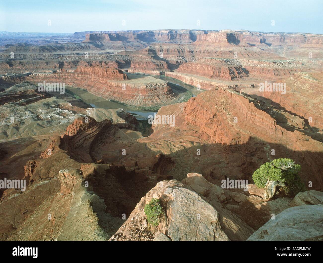 Gallery image with a fresh perspective