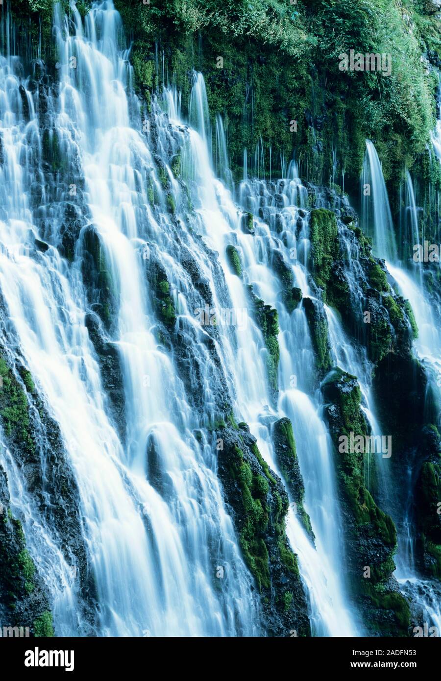 Vegetated Rocks Burney Falls. Steep cascading waterfall down the craggy and vegetated ...