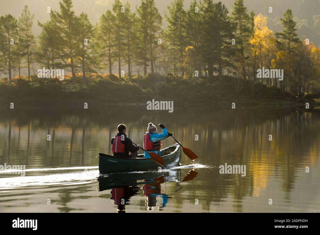 Couple canoeing on Loch Beinn a' Mheadhoin with Birch (Betula pendula) and Scots Pine (Pinus sylvestris) forest, Glen Affric, Highlands, Scotland. Stock Photo