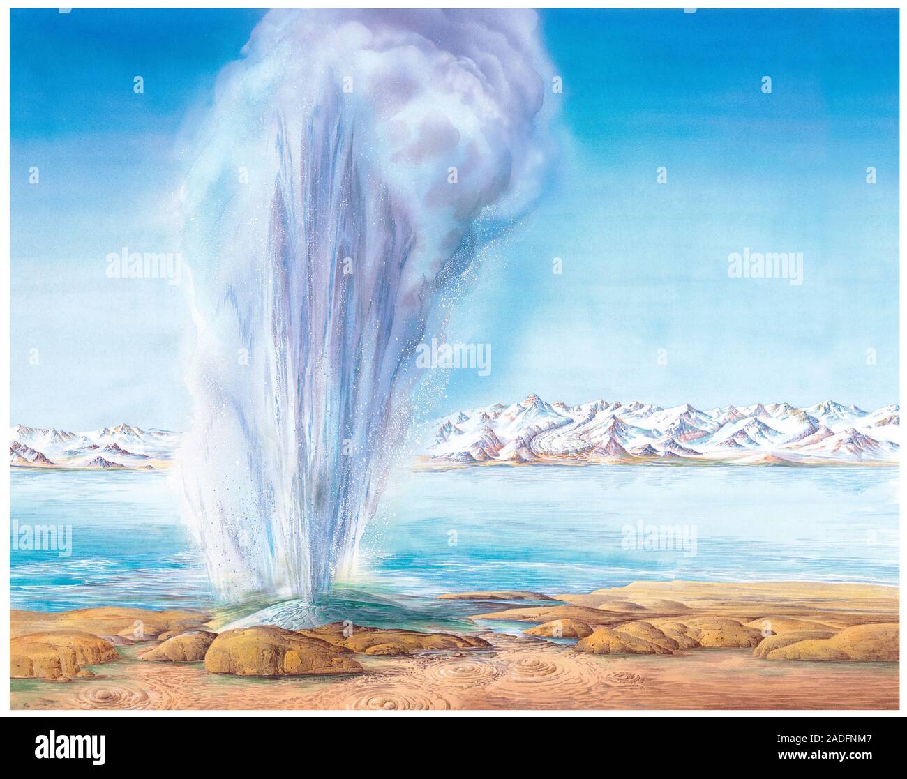 Geyser erupting, artwork. A geyser is a hot spring that periodically
