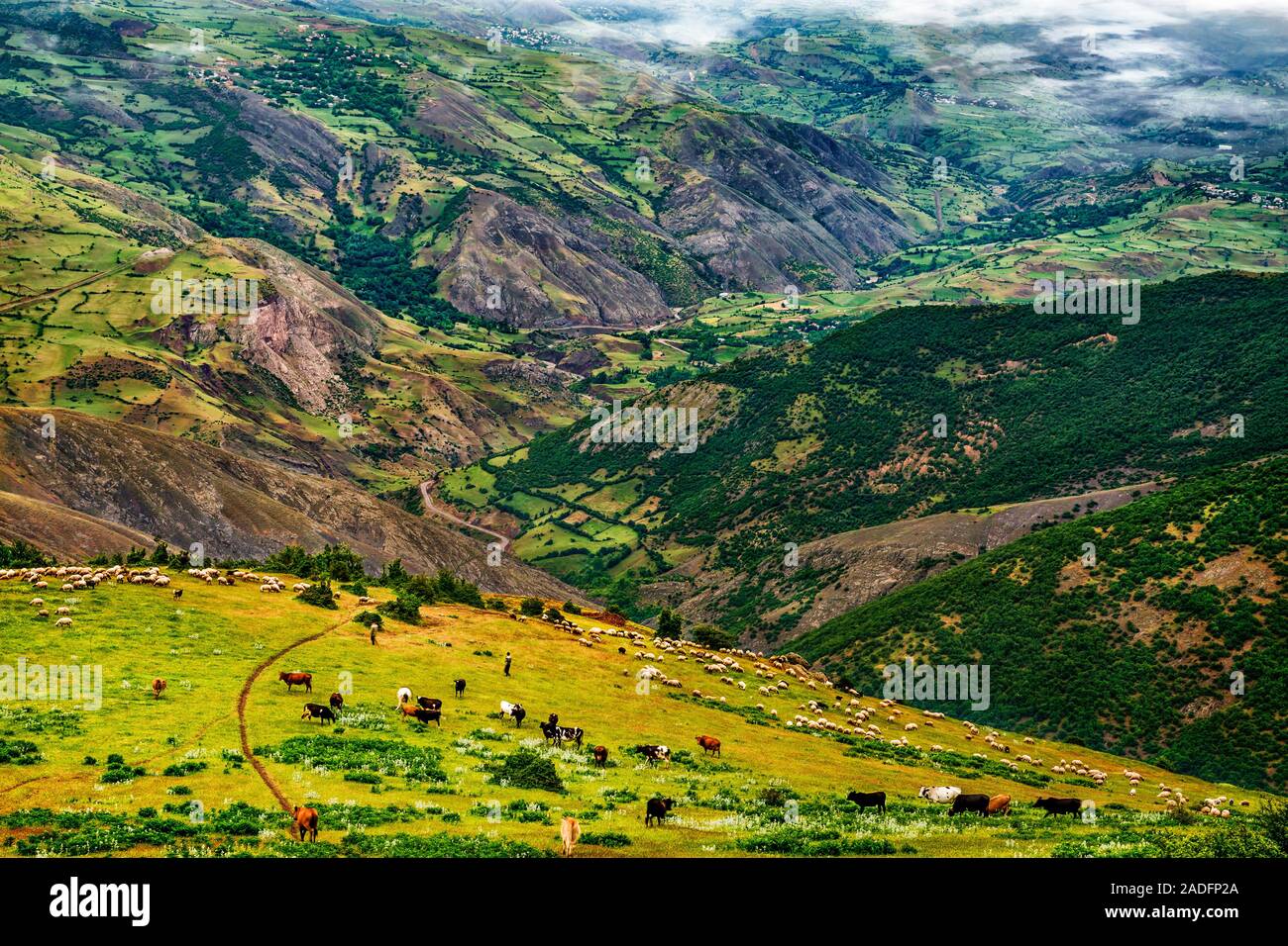 Autumn in Dorfak Stock Photo - Alamy