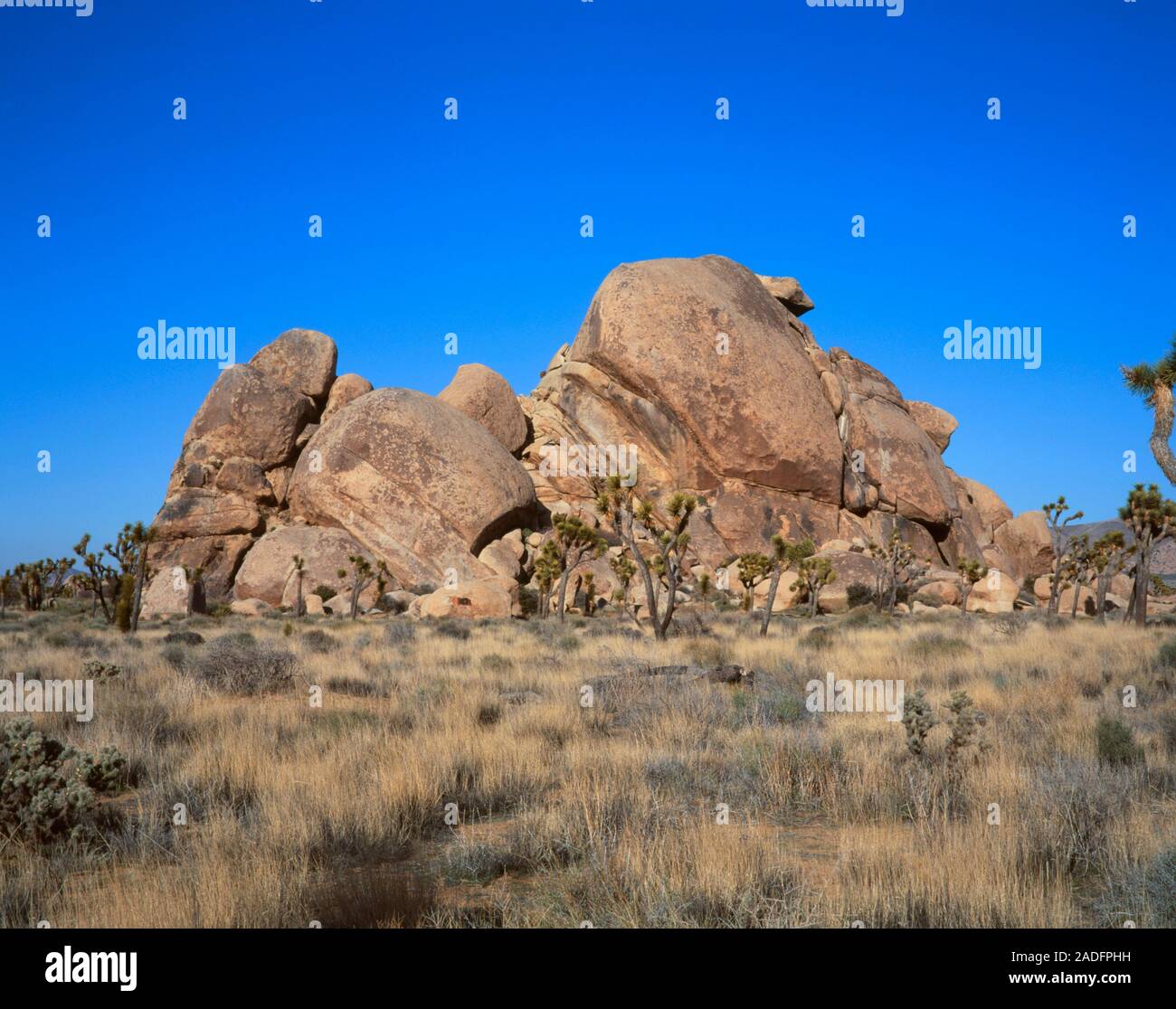 Mojave Desert. The landscape of the Mojave Desert, California. Mojave