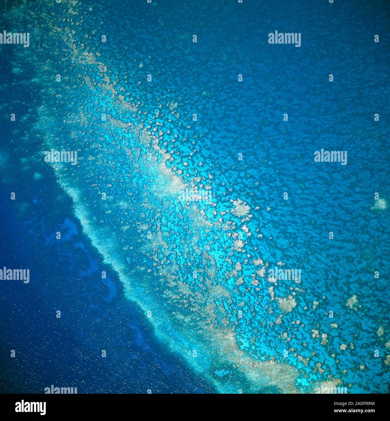 Coral reef. Aerial view of a coral reef surrounding Conception Island