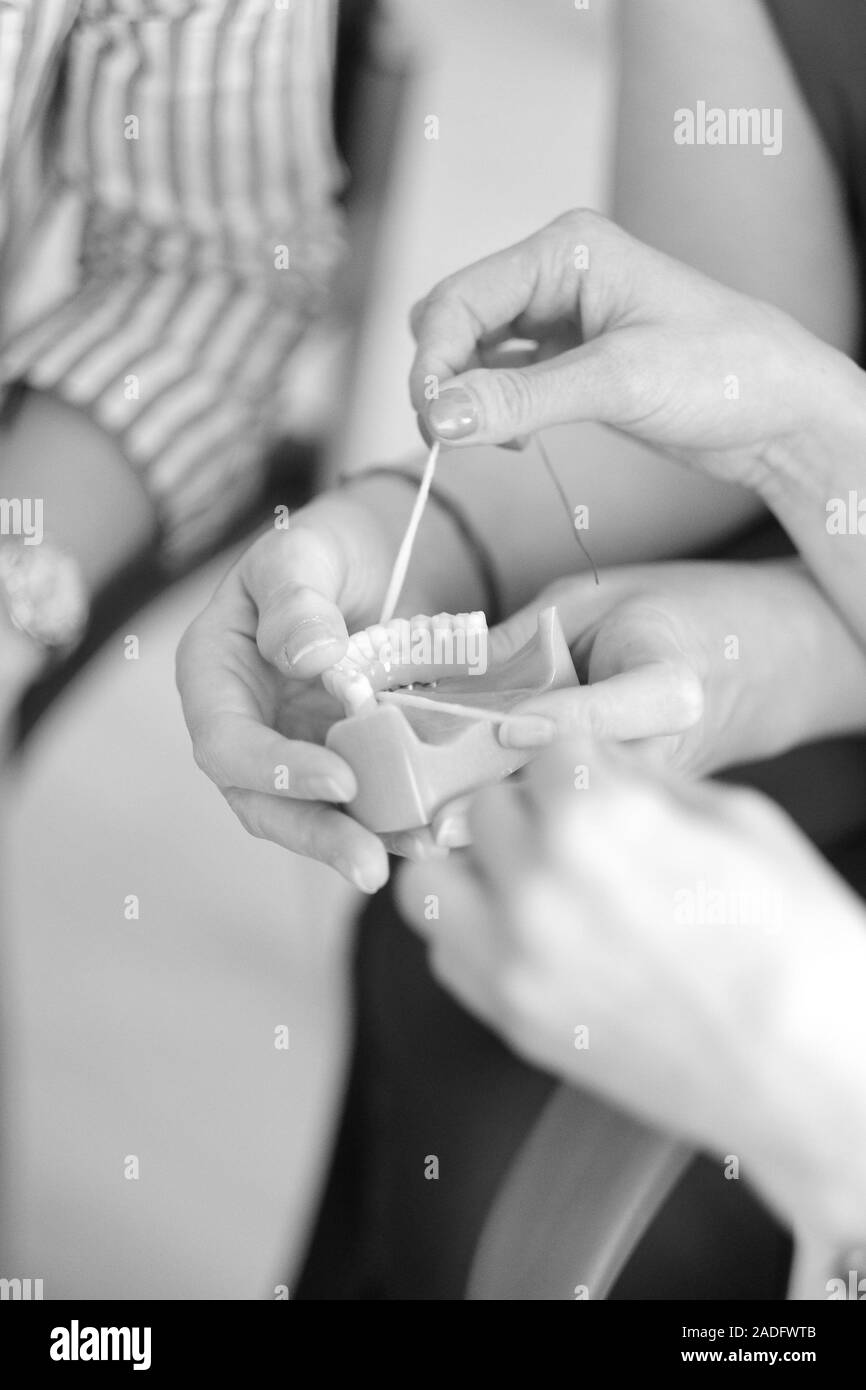 Practical lesson at the dental department for dental hygiene Stock