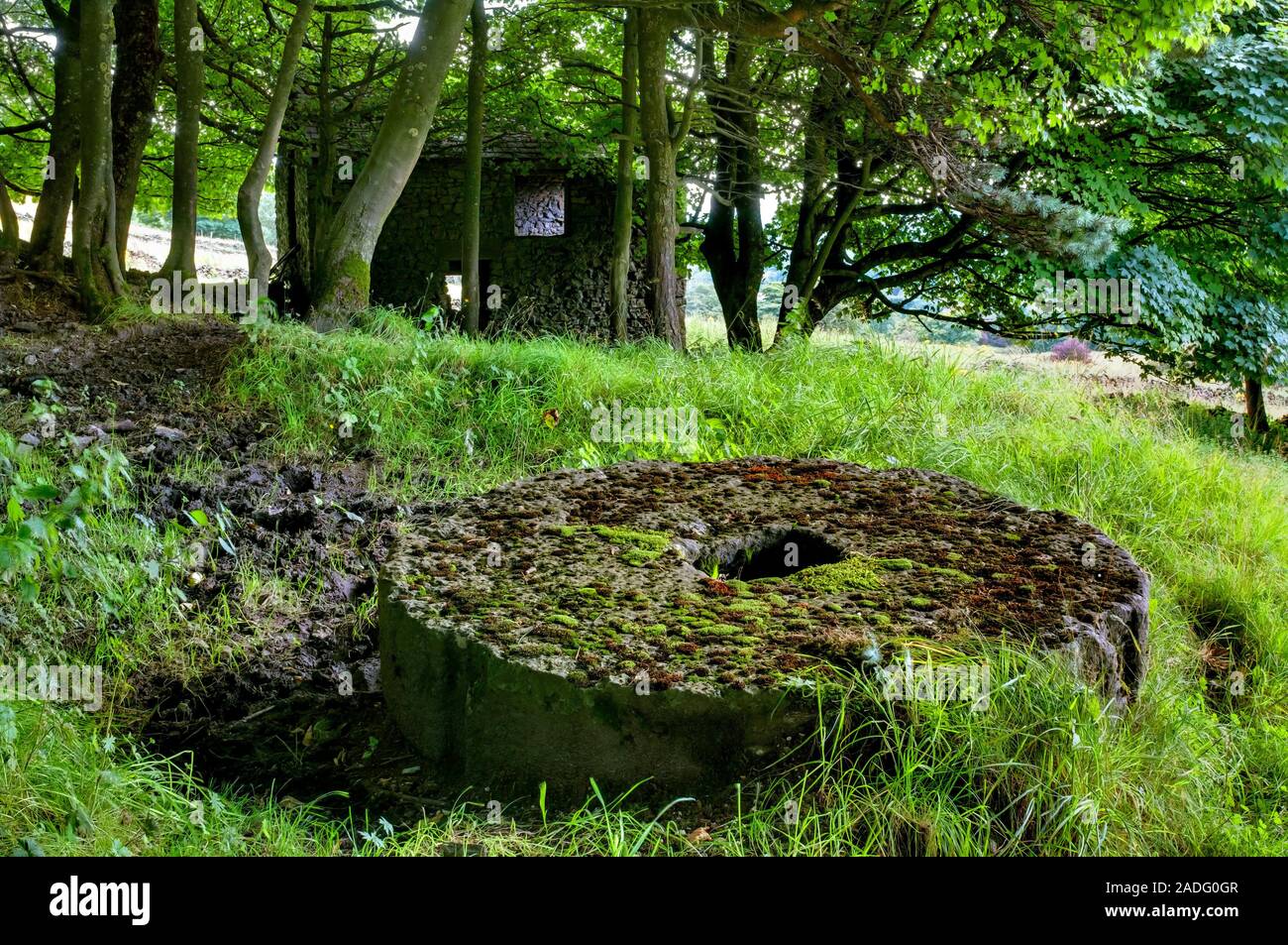 Crushing stone and manager's office at Little Pasture Lead Mine near