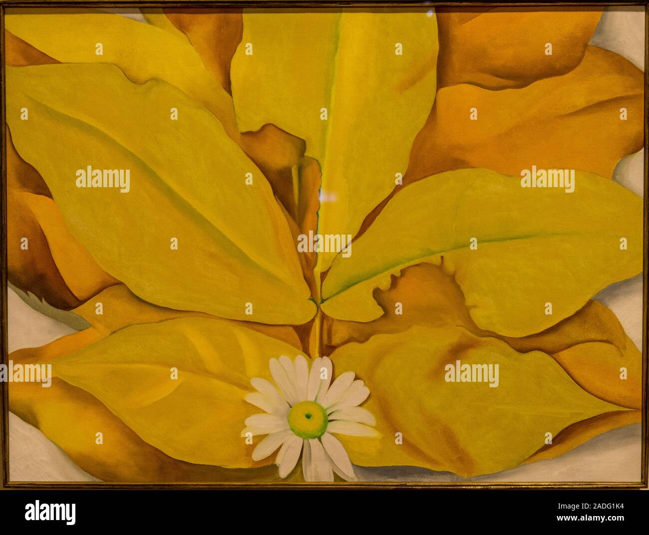 Georgia O'Keeffe painting Yellow Hickory Leaves with Dasy, The Art ...