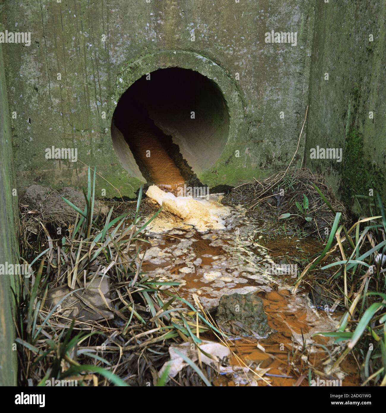 Water pollution. Contaminated water draining from a former industrial