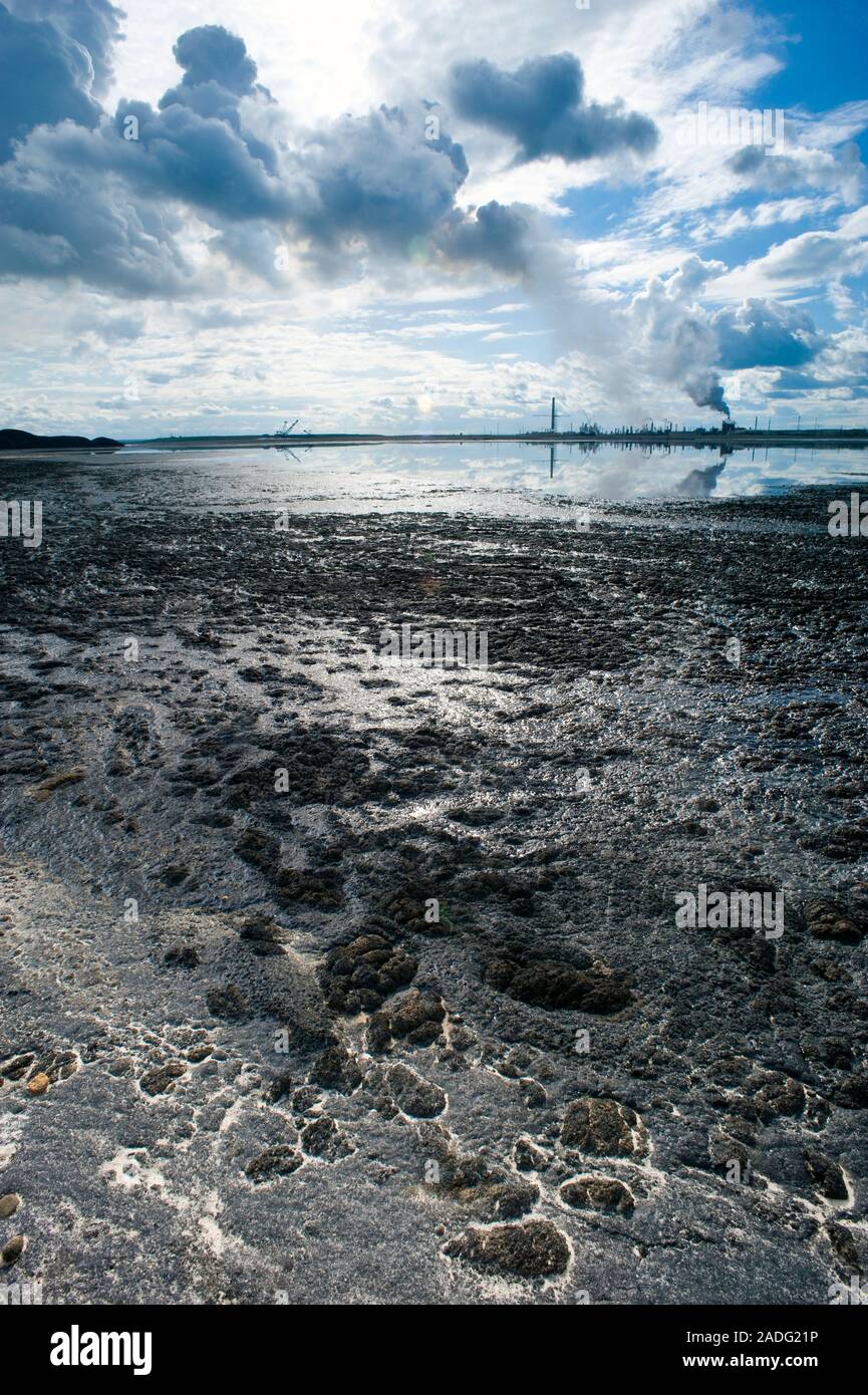 Oil industry pollution. Tailings settling pond with residual crude oil ...