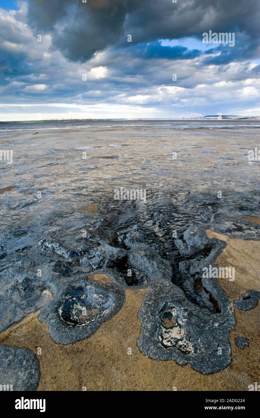 Oil industry pollution. Tailings settling pond with residual crude oil ...