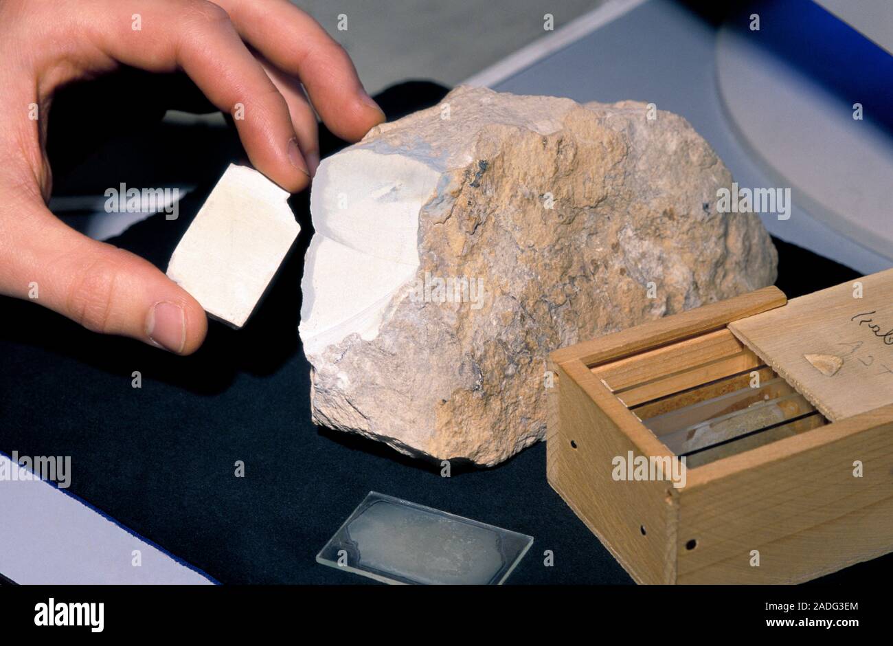 Egyptian pyramid stone. Scientist holding a slice of material from a ...