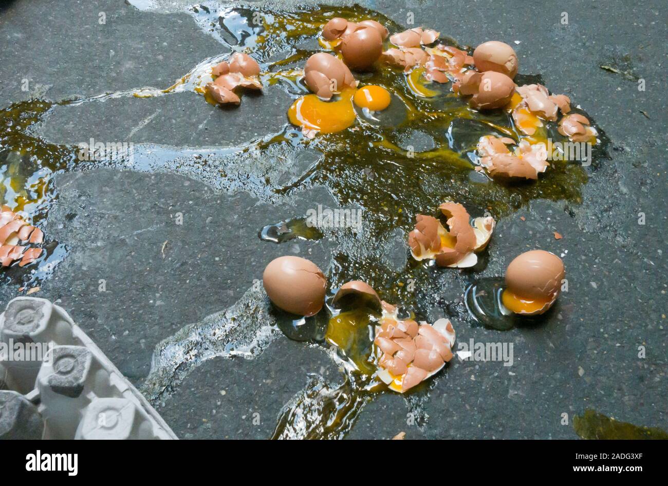 A Dozen Broken Eggs on a Sidewalk, USA Stock Photo