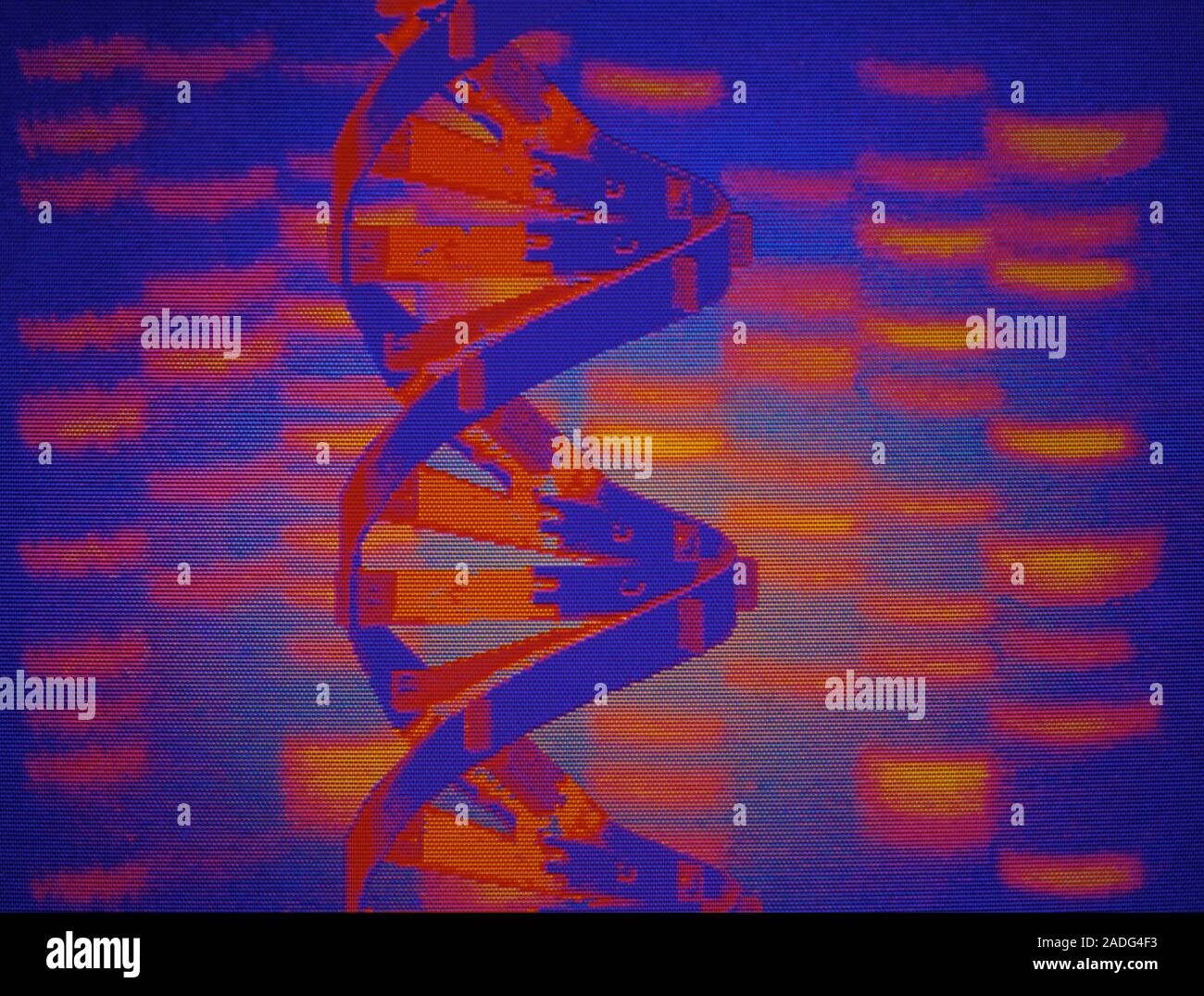 DNA fingerprinting. Computer graphic representation of a strand of DNA ...