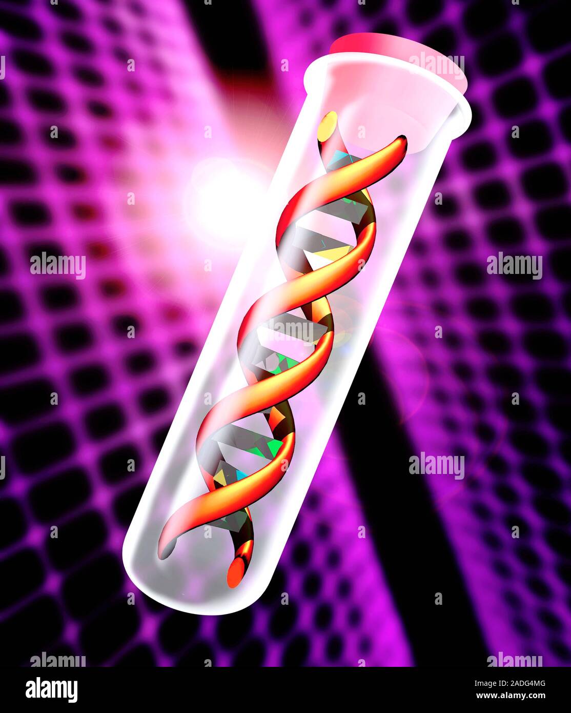 DNA sample. Computer artwork of a sample of DNA (deoxyribonucleic acid ...