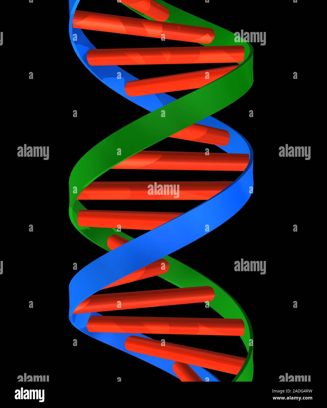 DNA molecule. Computer artwork of part of a strand of DNA