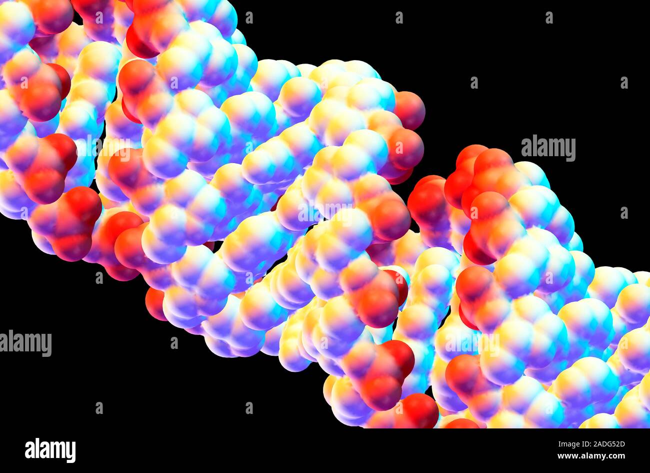 DNA. Computer model of the surface of part of a DNA (deoxyribonucleic ...