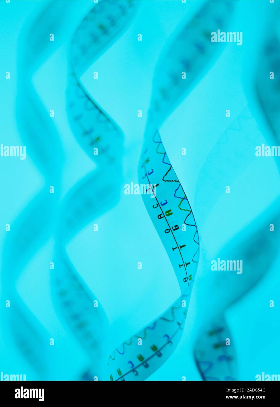 sequence. Printout of the code of a single strand of DNA (deoxyribonucleic acid