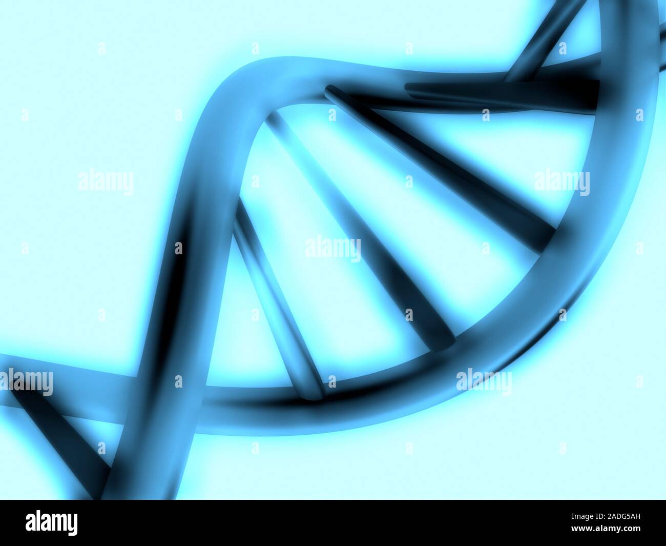DNA helix. Computer artwork of a strand of DNA (deoxyribonucleic acid ...