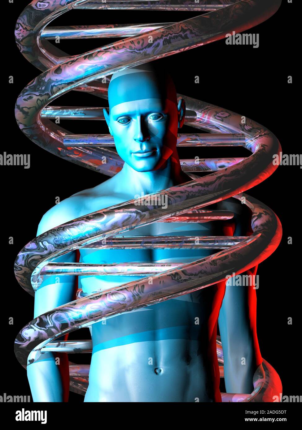 Man and DNA. Computer artwork of a DNA molecule wrapped around a male ...