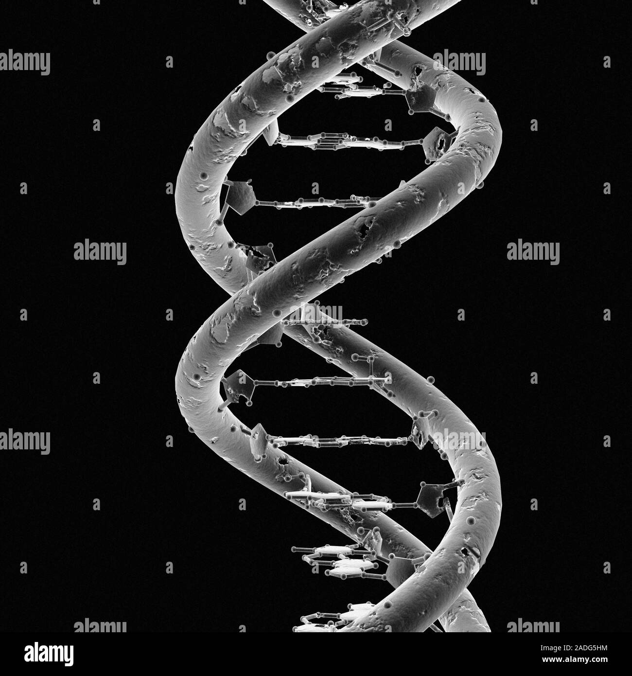 Нить рнк. Молекула ДНК человека под микроскопом. ДНК И РНК под микроскопом. Ген в молекуле ДНК. Спиралевидная молекула ДНК.