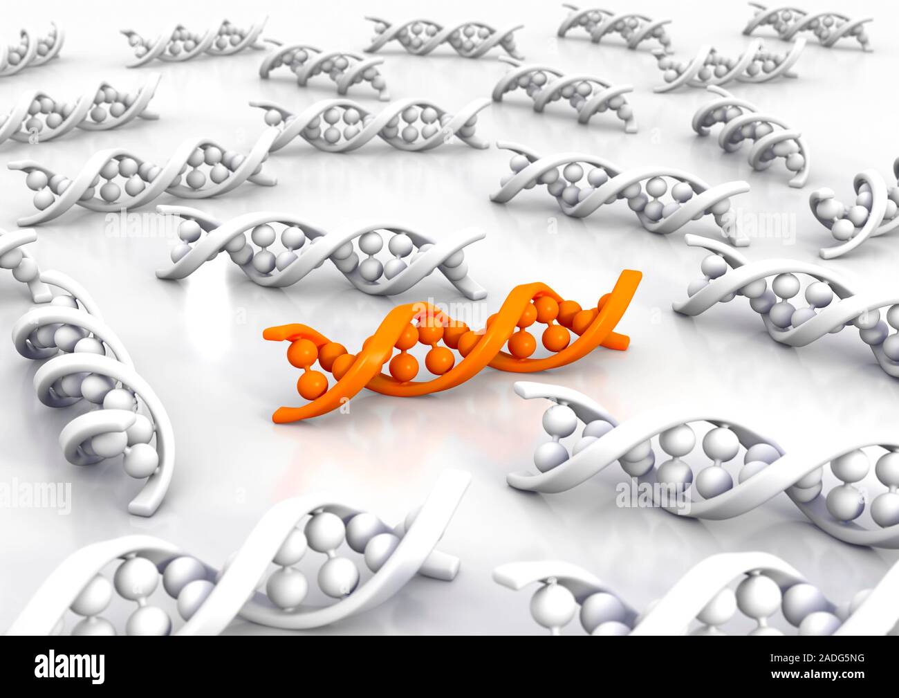Genetic uniqueness. Conceptual computer artwork of uniqueness ...