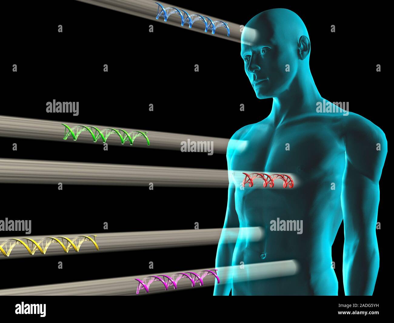 Gene therapy. Conceptual computer artwork representing gene therapy, showing beams of DNA (deoxyribonucleic acid, spiral structures) being targeted at Stock Photo