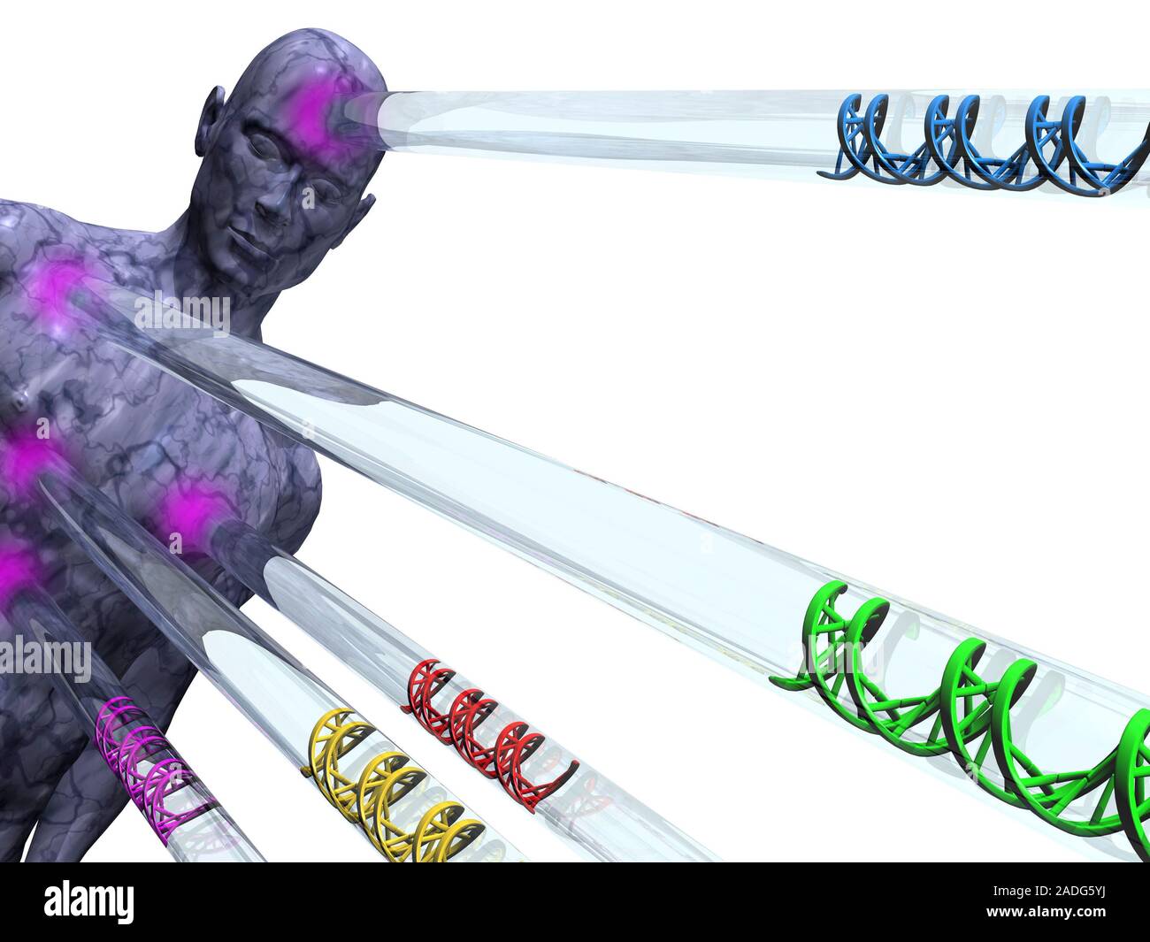 Gene therapy. Conceptual computer artwork representing gene therapy, showing beams of DNA (deoxyribonucleic acid, spiral structures) being targeted at Stock Photo