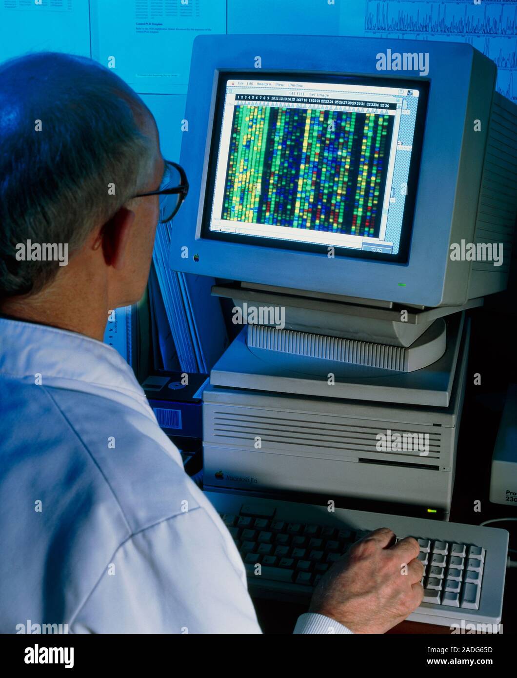 Sequencing Bio Computer DNA sequencing. A geneticist examines a computer display of a DNA ...