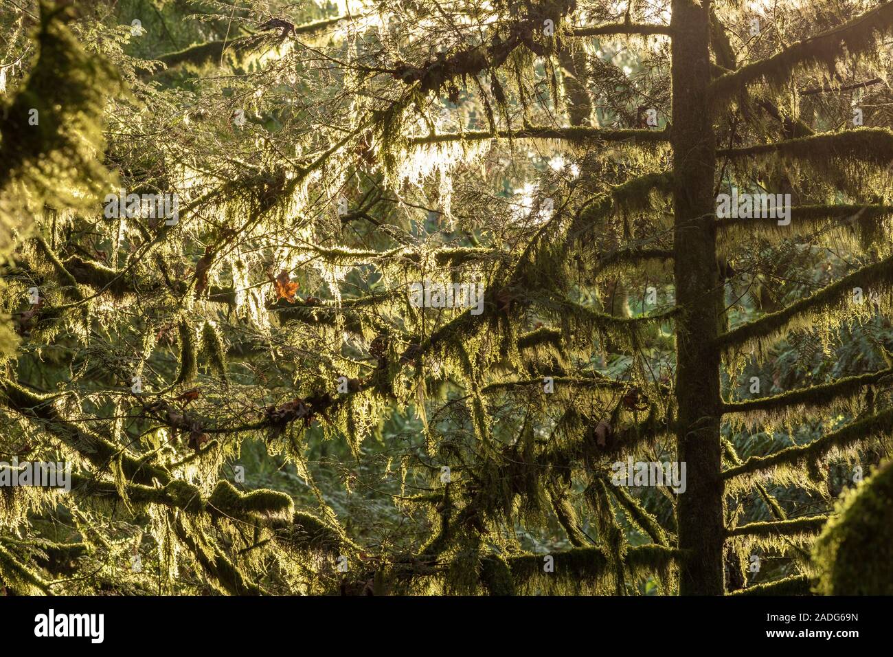 Canada sceneries hi-res stock photography and images - Alamy