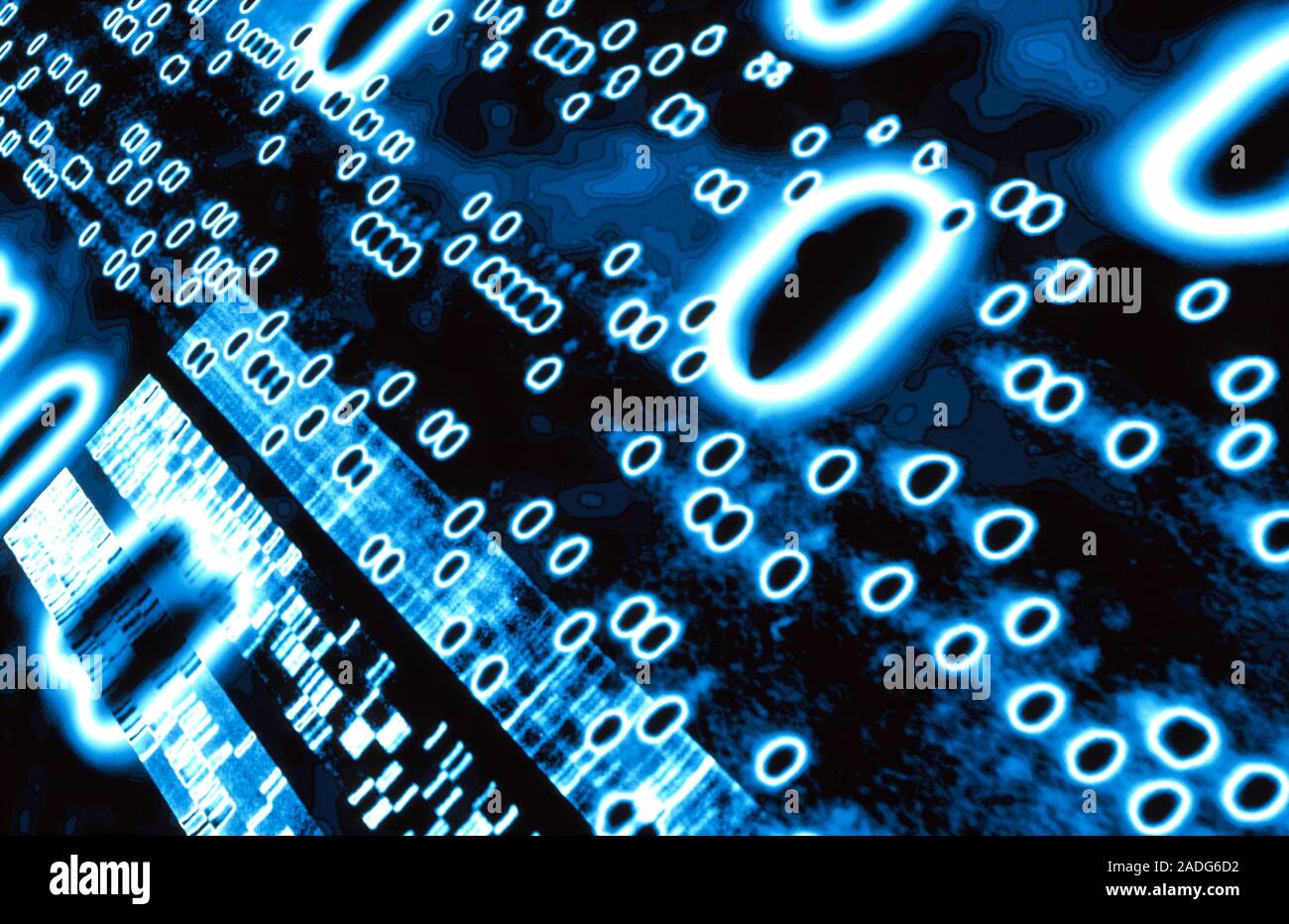 DNA autoradiograms. Computer artwork of DNA (deoxyribonucleic acid