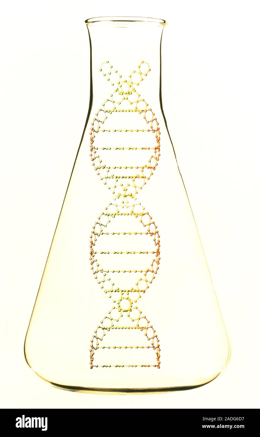 research. Computer artwork of part of a DNA molecule in a