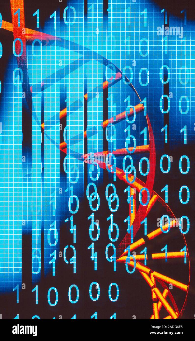 Biological computing. Conceptual computer artwork of a DNA ...