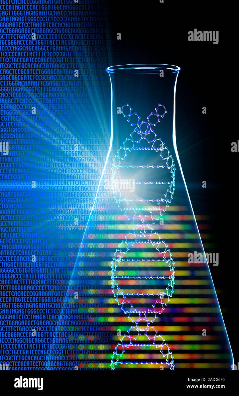 research. Computer artwork of part of a DNA molecule in a