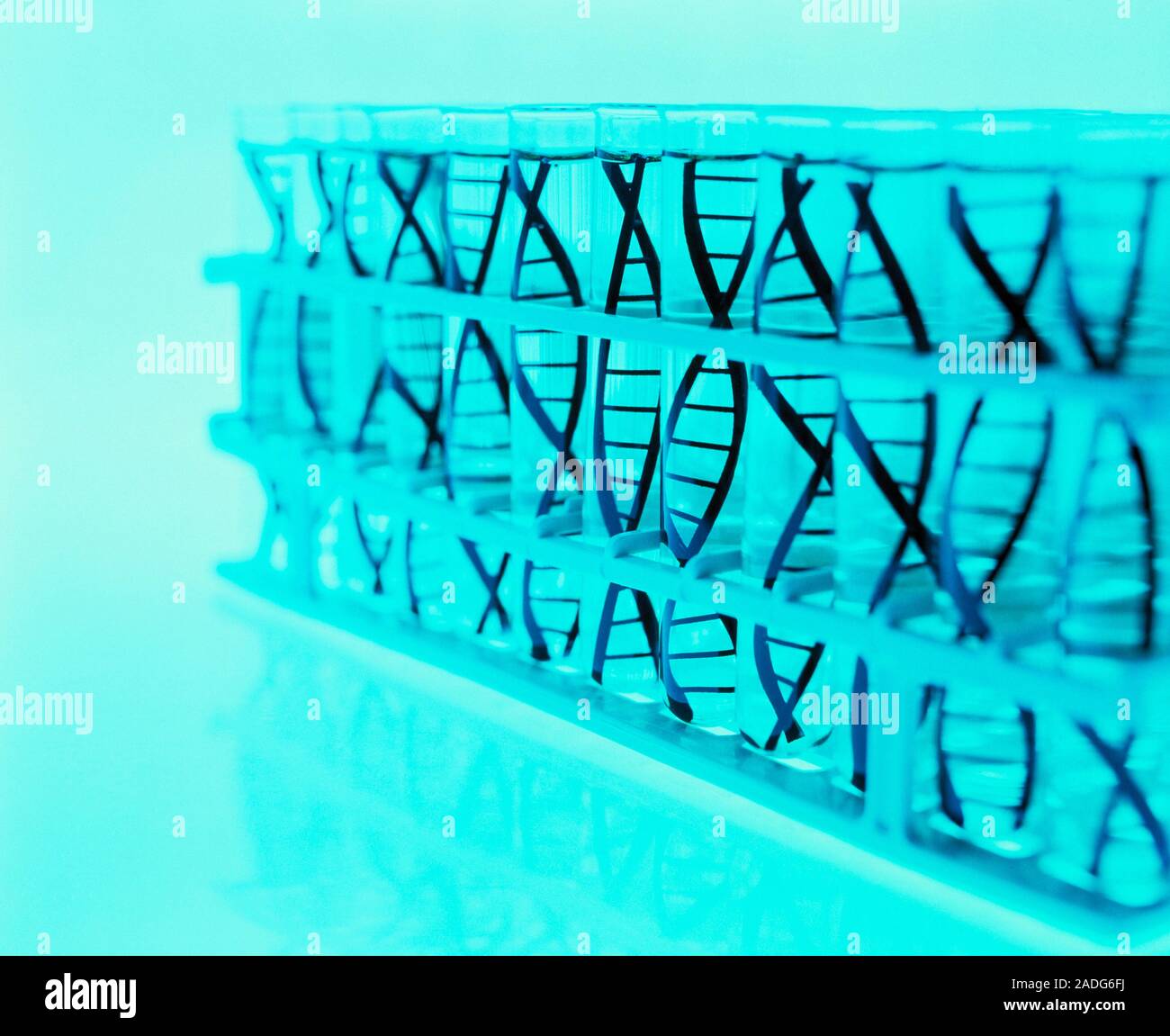 DNA research. Conceptual image of a rack of test tubes containing DNA ...