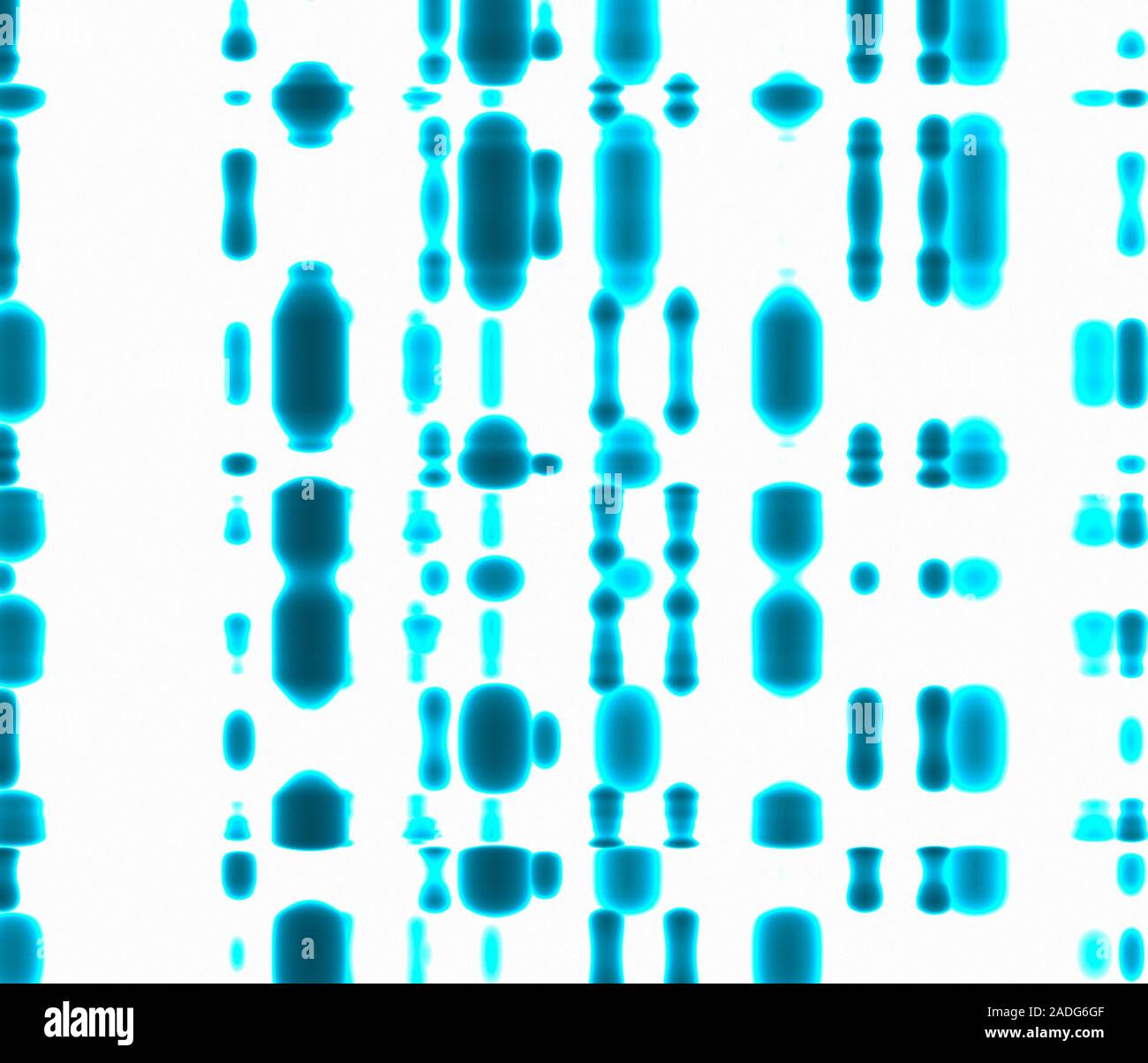 DNA autoradiogram. Computer artwork representing a DNA autoradiogram