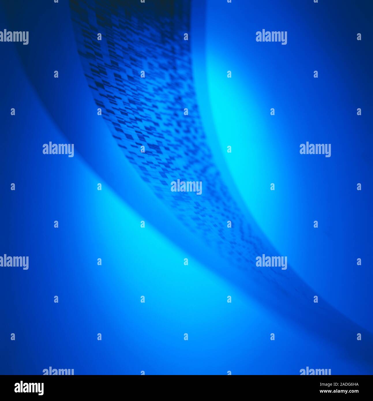 DNA autoradiogram. The sequence of bands (black) shows the
