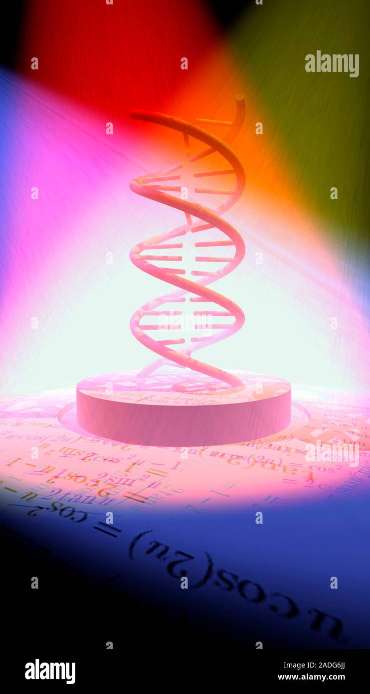 Genetic research. Conceptual computer artwork of a DNA ...