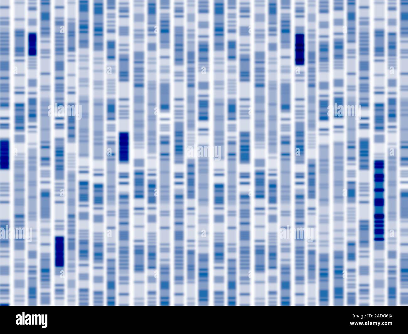 DNA autoradiogram. Computer artwork of a DNA (deoxyribonucleic acid