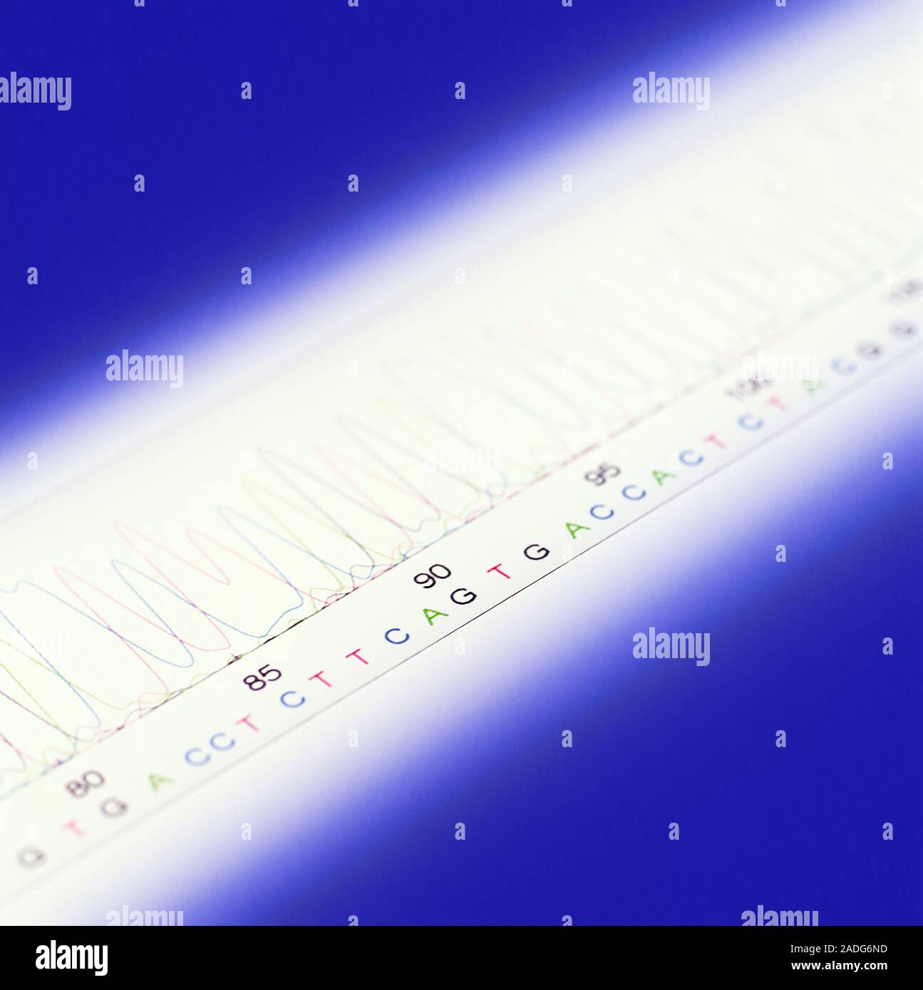 DNA analysis. Graph showing the results of DNA (deoxyribonucleic acid