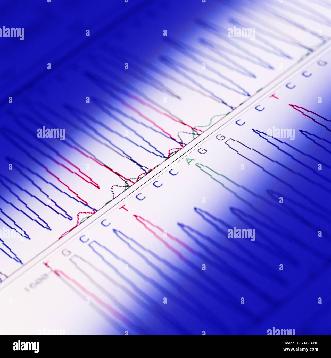 DNA analysis. Graphs showing the results of DNA (deoxyribonucleic acid