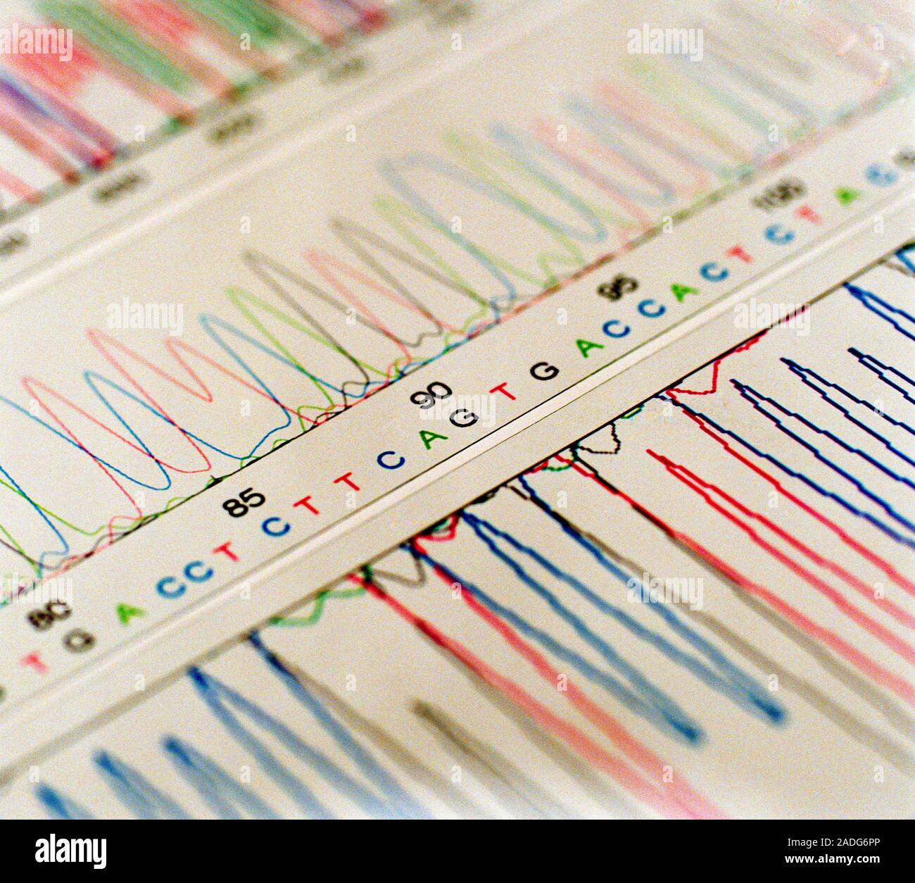 DNA analysis. Graphs showing the results of DNA (deoxyribonucleic acid