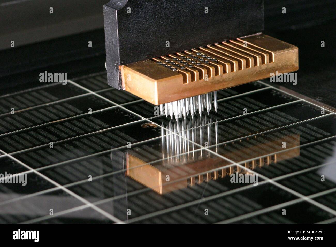 Genetic analysis. Automated machinery depositing DNA (deoxyribonucleic ...